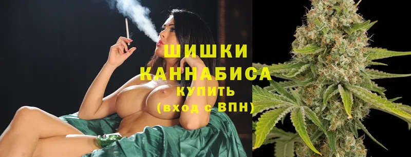 Канабис OG Kush  Западная Двина 